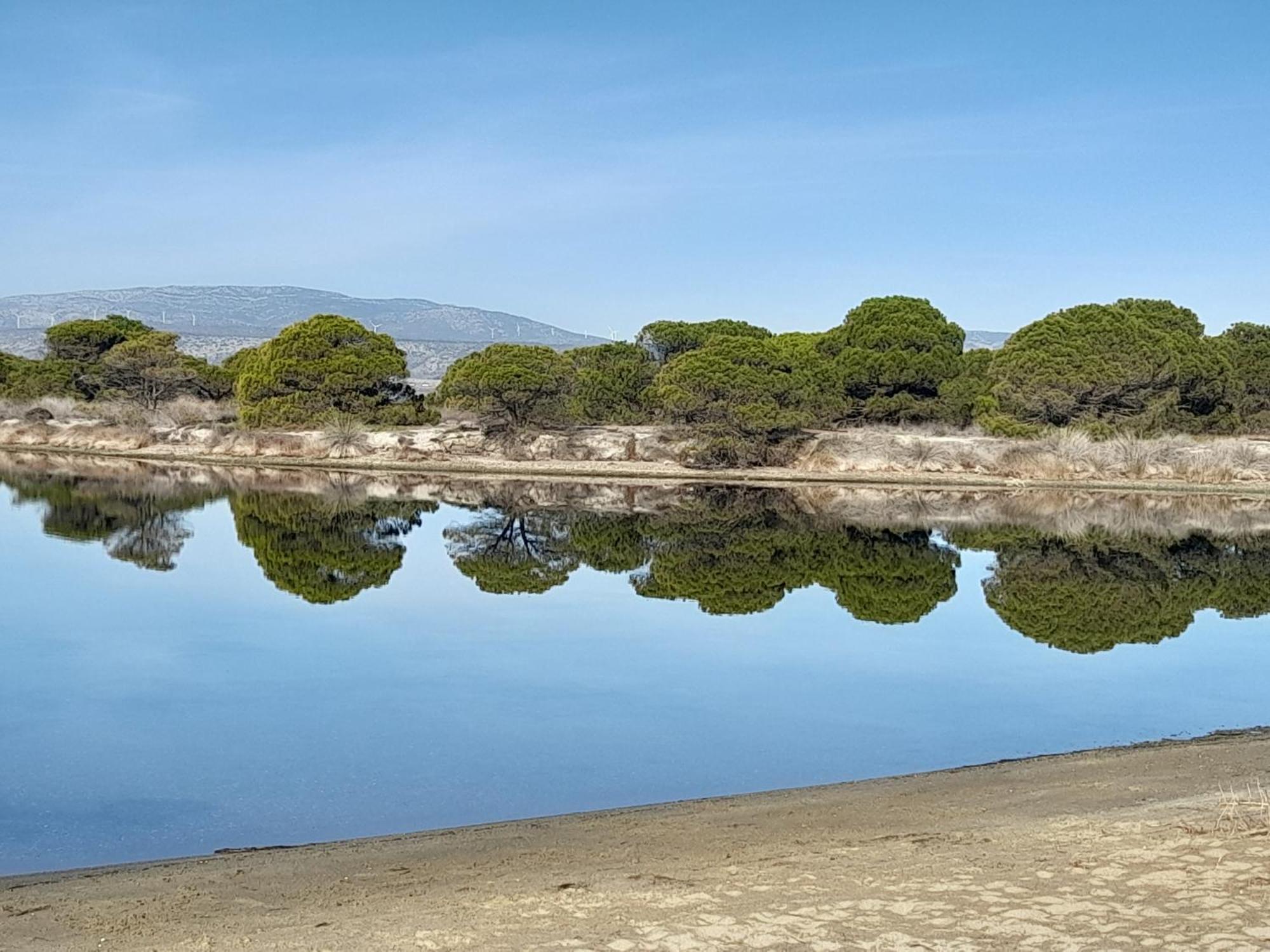 Franck Daire Le Barcarès Dış mekan fotoğraf